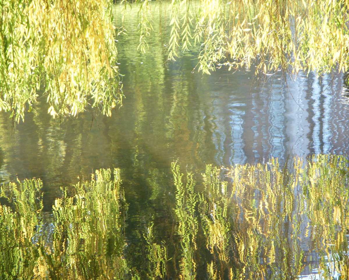 Boston Public Garden 1 by Mary Gillis, Image 1.