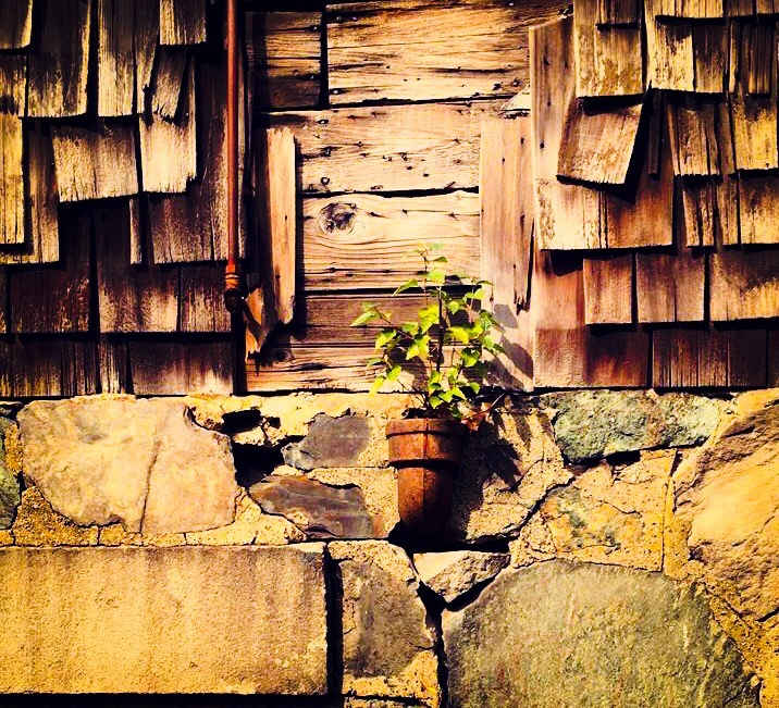 Charles River Speedway by Aline Martini 