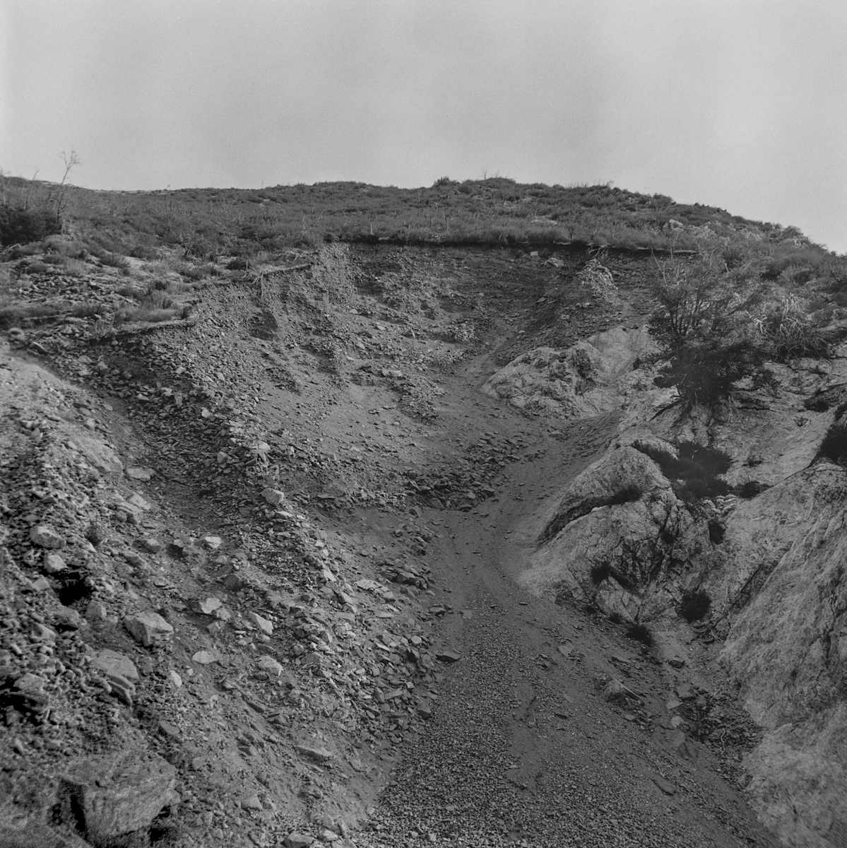 Angeles Crest 4 by Raphael Warshaw 