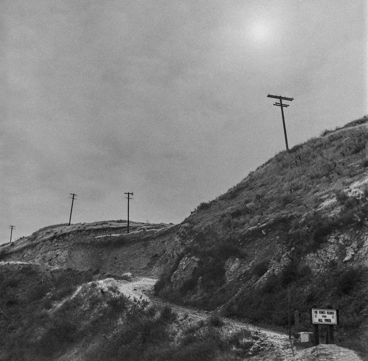 Angeles Crest 7 by Raphael Warshaw 