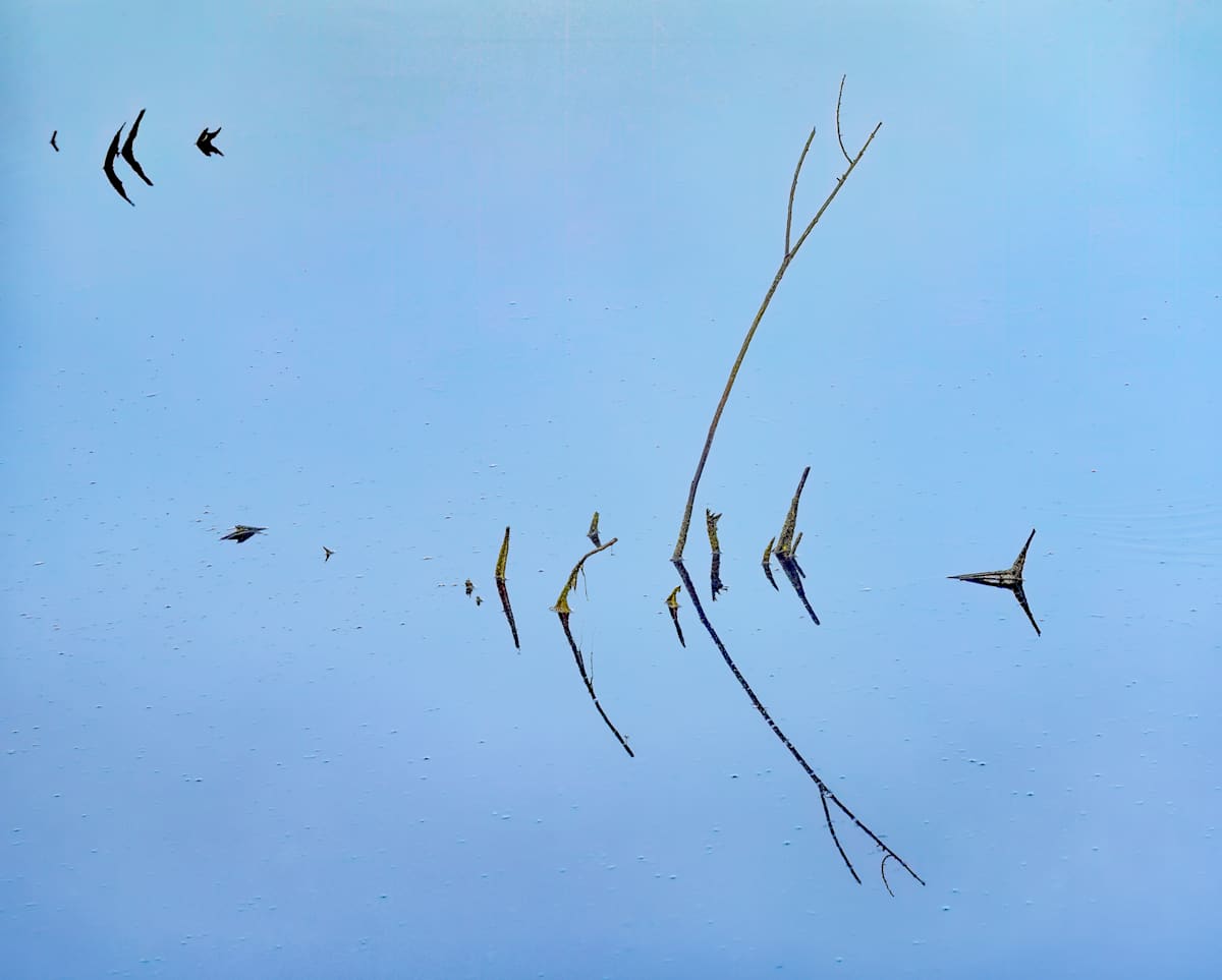 Roadside Rt. 73 2 by Raphael Warshaw 