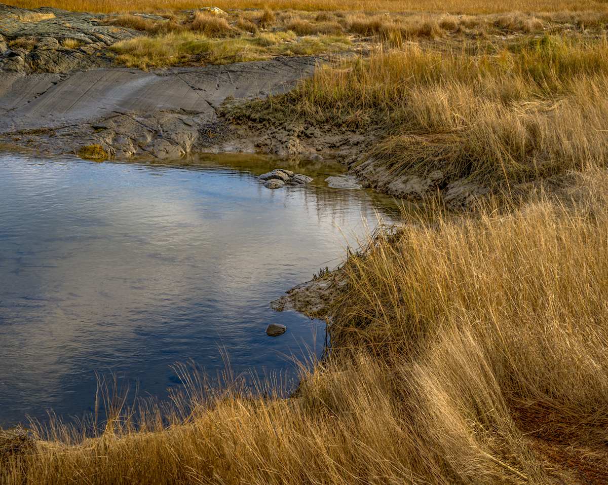 Maine Pondside 4 by Raphael Warshaw 