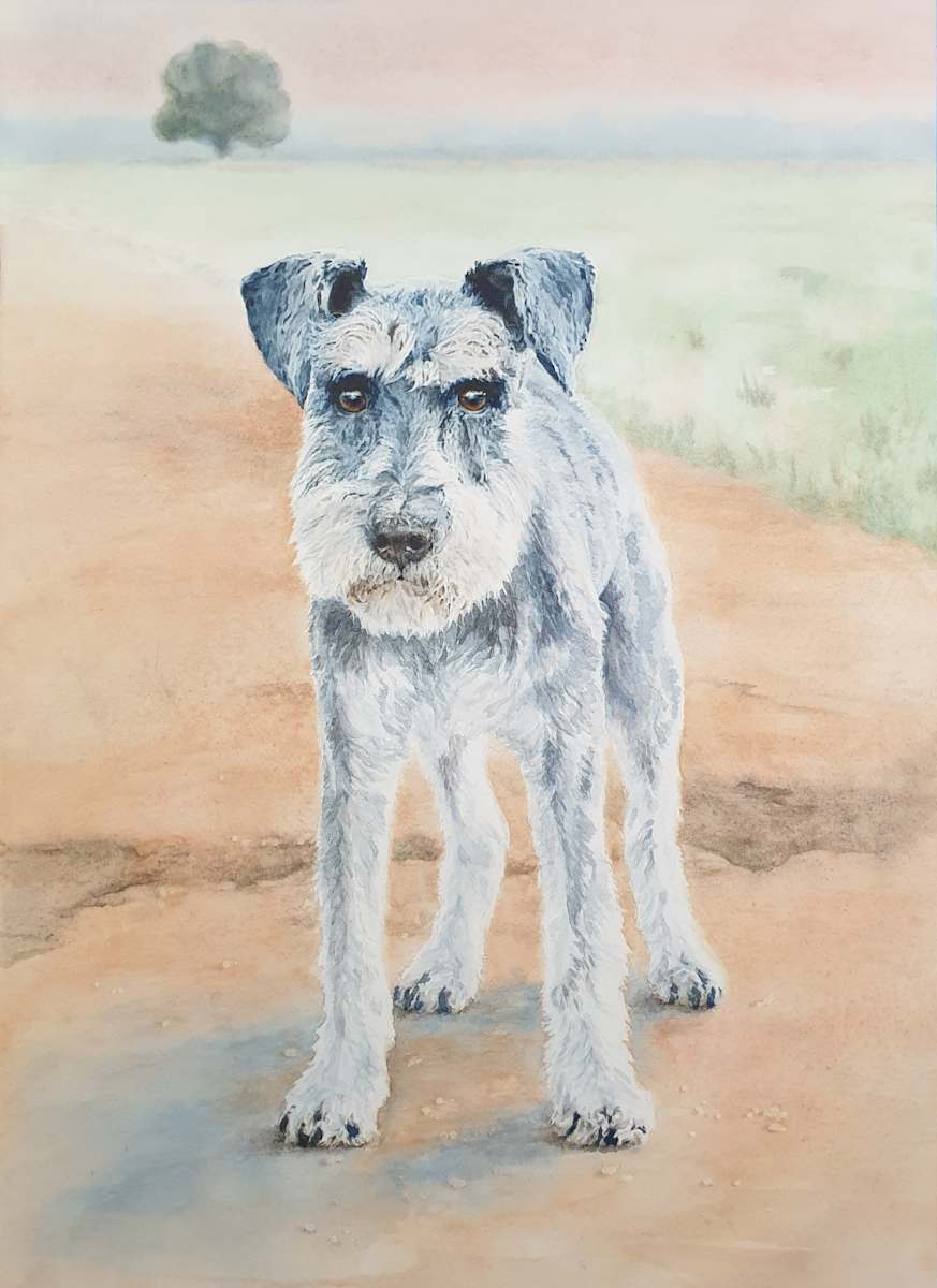 Rupert by Sara Miller 