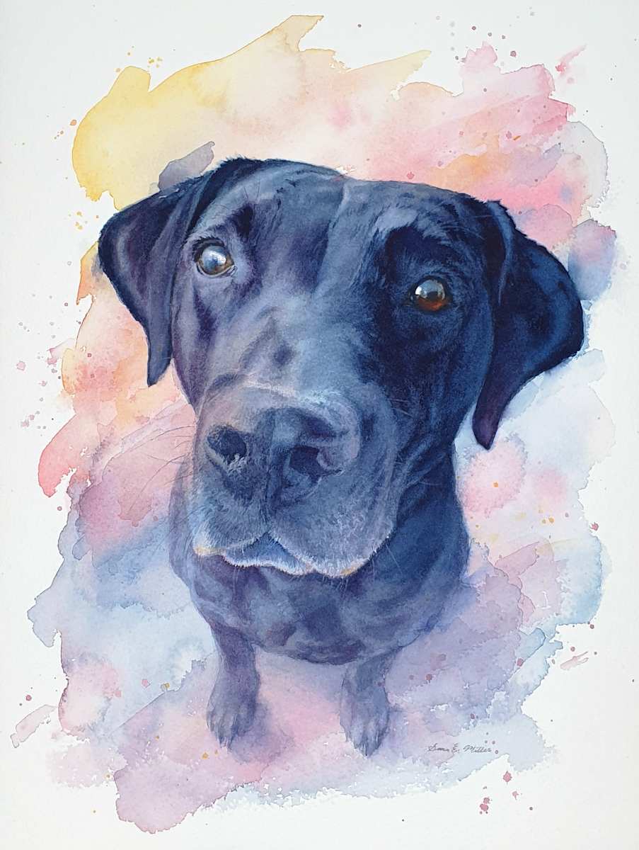 Java by Sara Miller, Image 2.