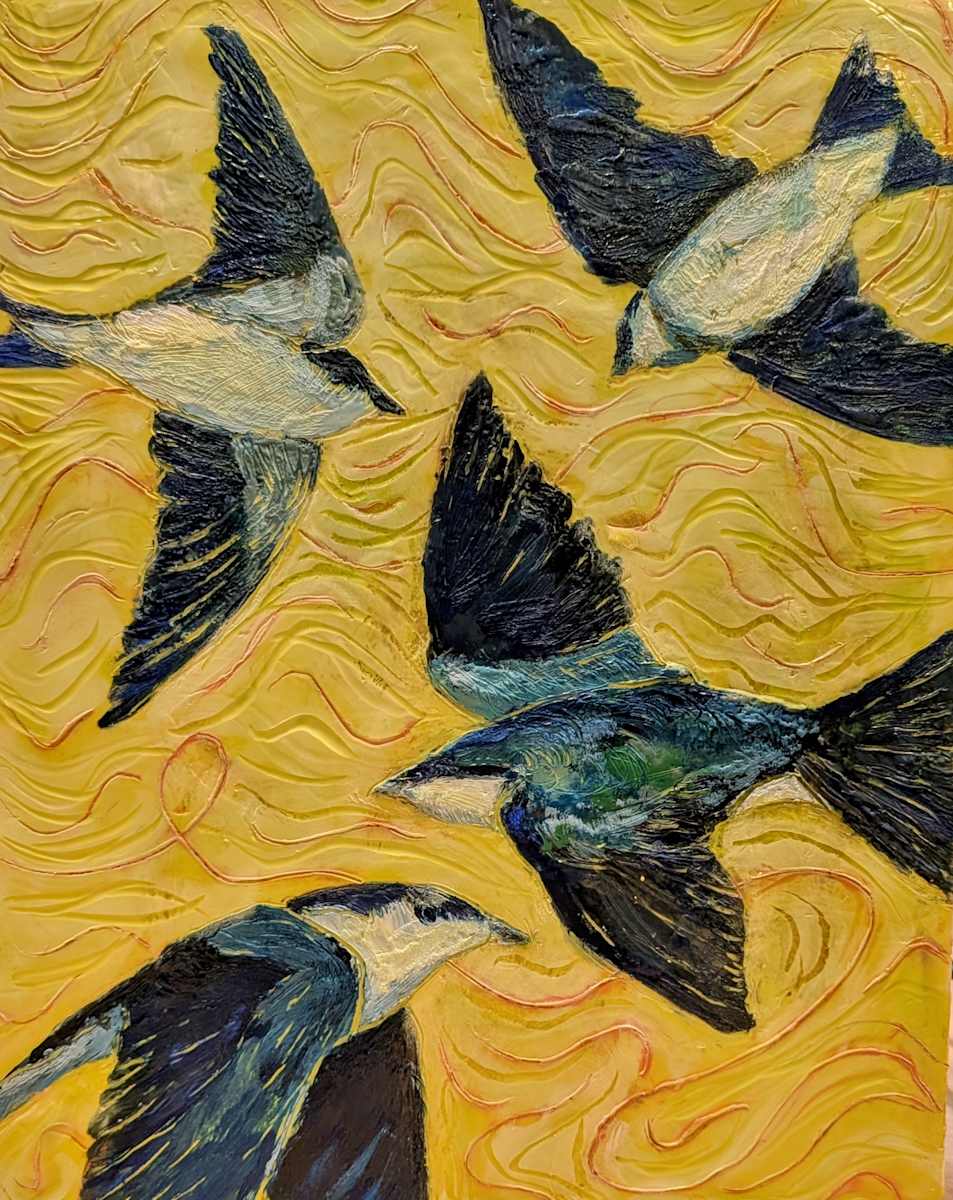 The Last of its Kind: The Bahama Swallow by Stevie Woods 