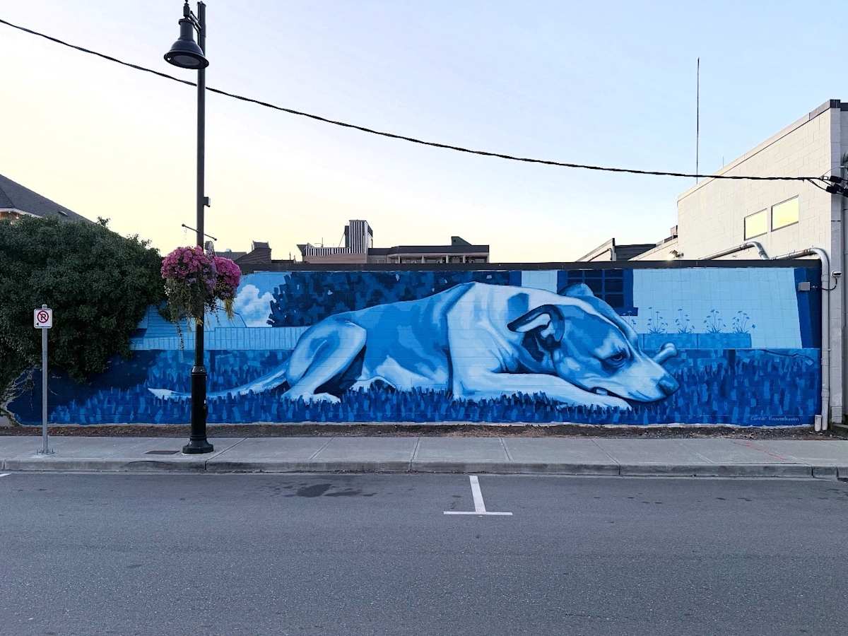 Duggy by Connor Kouwenhoven, Image 1.