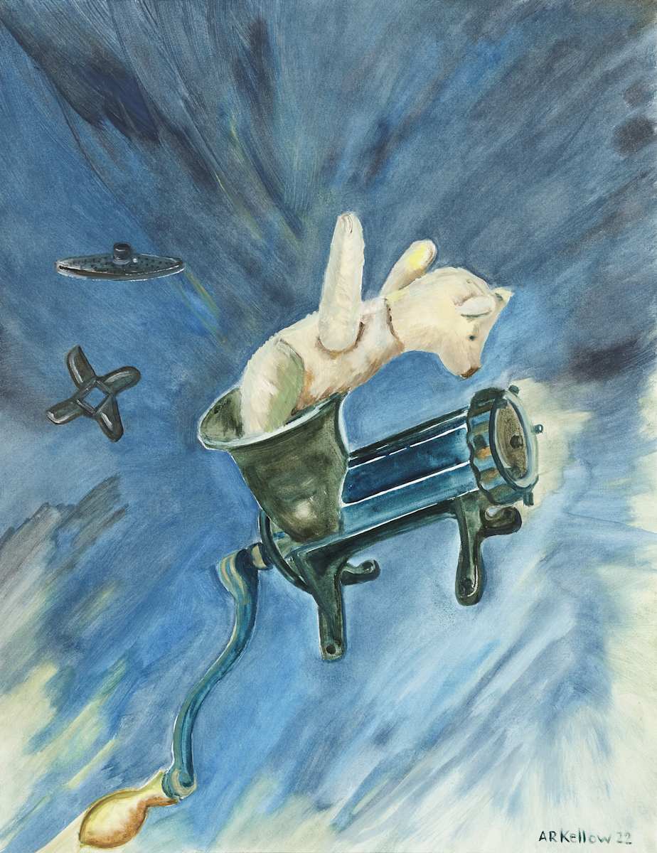 Fleischwolf Politics by Ada-Ruth Kellow 