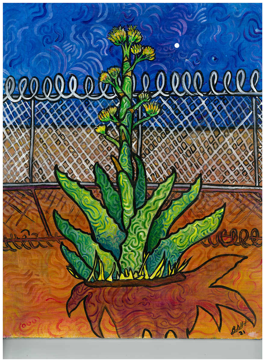 Agave by Brian Hindson 