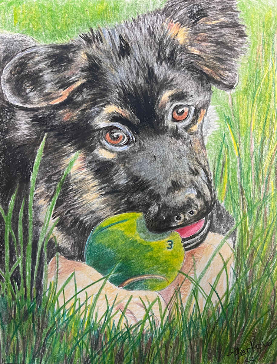 Wanna Play? by Gary K. Farlow 