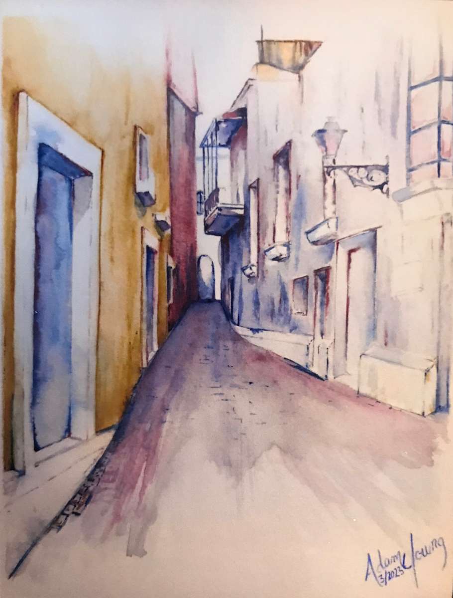 The Alley by Adam Young 