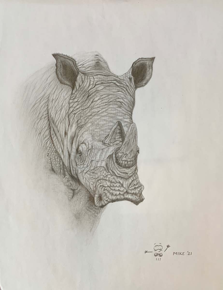Rhino by Cuong "Mike" Tran 