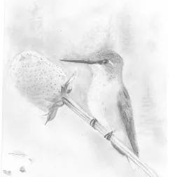 Bonnies Girl by Samson Loynachan 