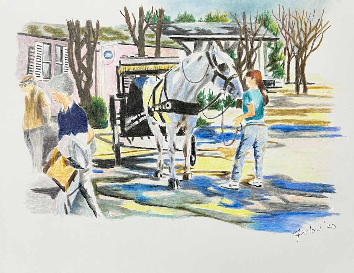 A Carriage Ride in Savannah by Gary K. Farlow 