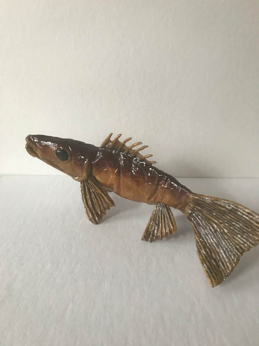 Fish by Charles Finney 