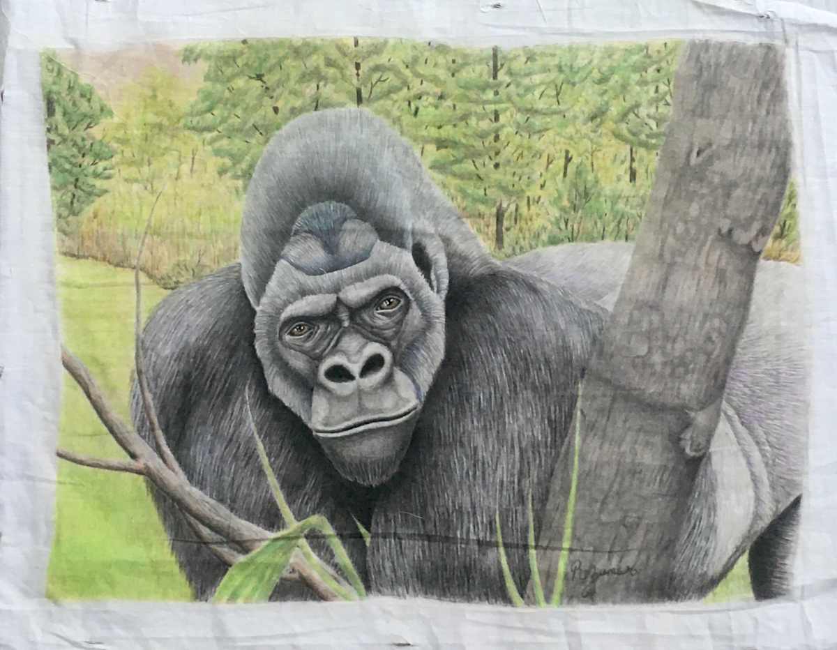 Silverback Gorilla by R. Zumar 
