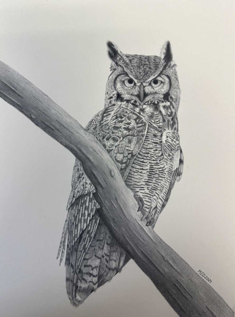 Night Watch - Great Horned Owl by Michael E. Dorcas 