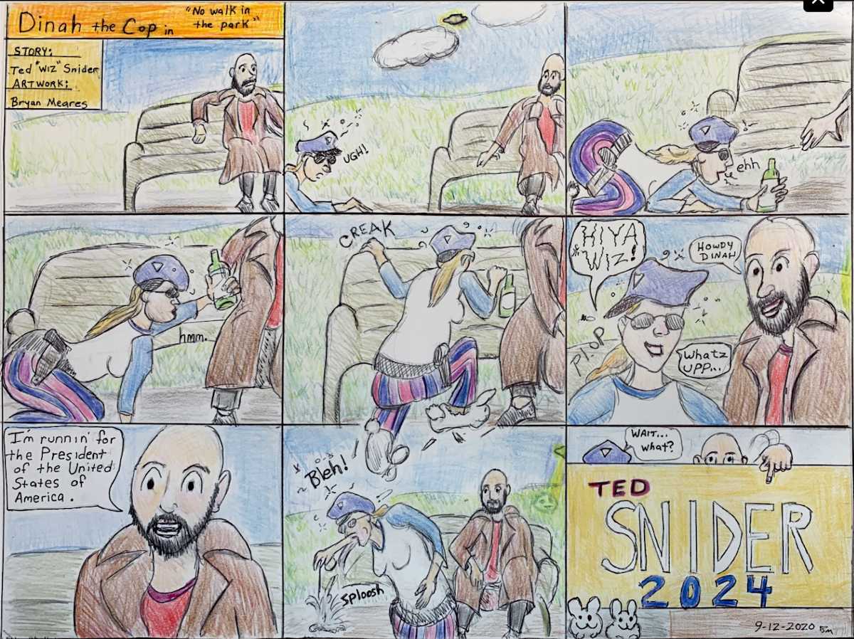Dinah the Cop in No Walk in the Park by Ted 'Wizdom' Snider 