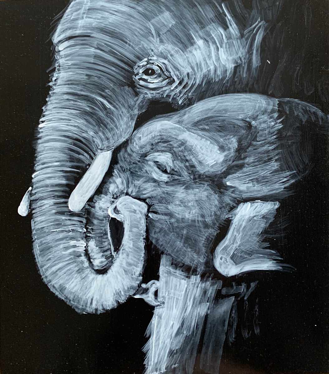 Elephant by Brian Hindson 