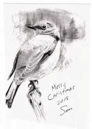 Merry Christmas by Samson Loynachan 