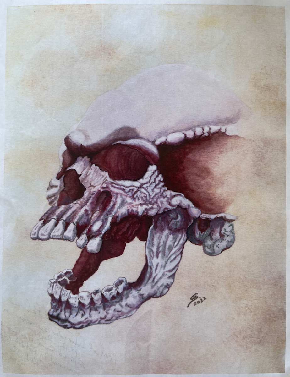 Skull IV by Scott Palmer 