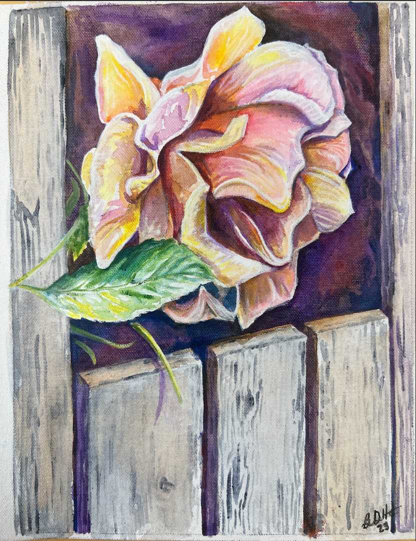 Pretty Rose by Brian Hindson 