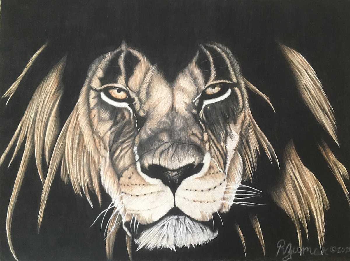 Out the Shadows by R. Zumar 