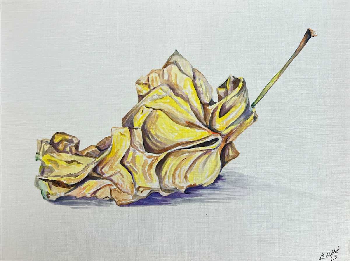 Rotting Apple by Brian Hindson 