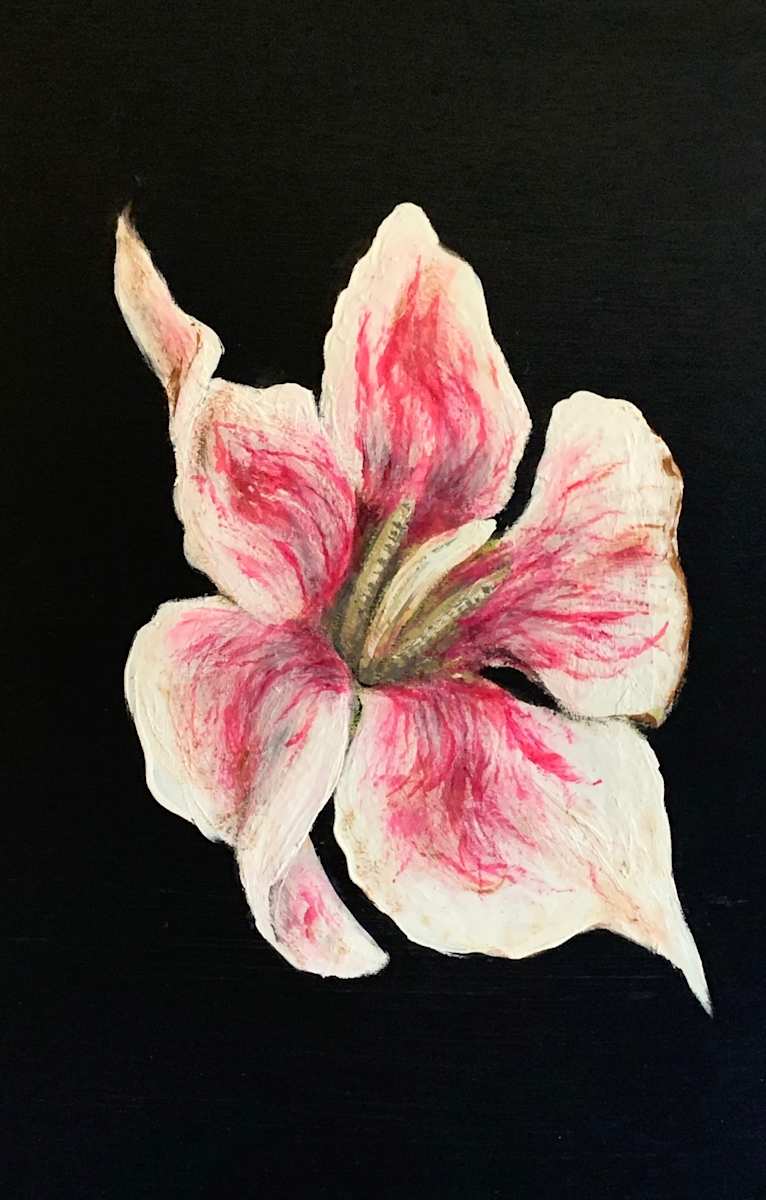 Flower in the Dark 1 by Melissa Anne Hernandez 