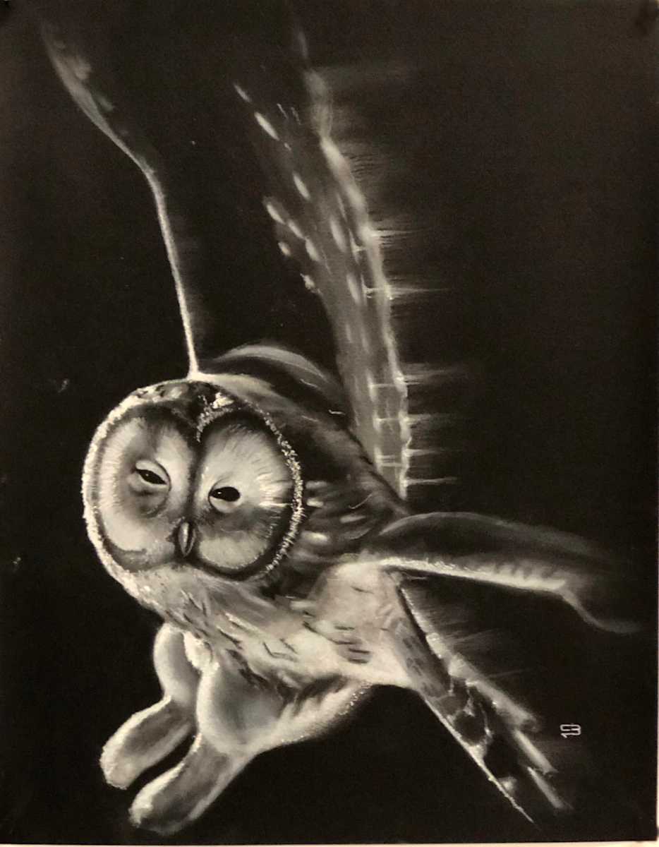Owl by i.i. LoTD 