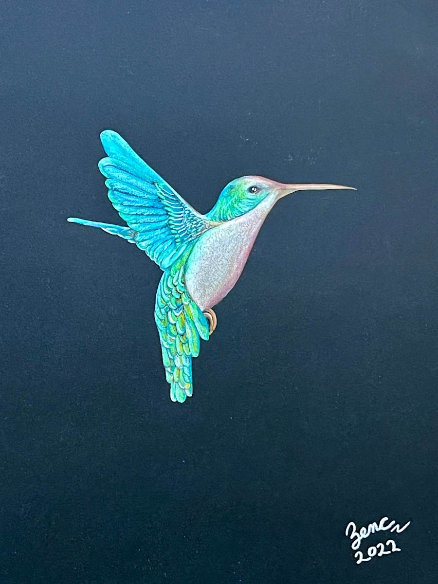 Night Flight by John W. Zenc 