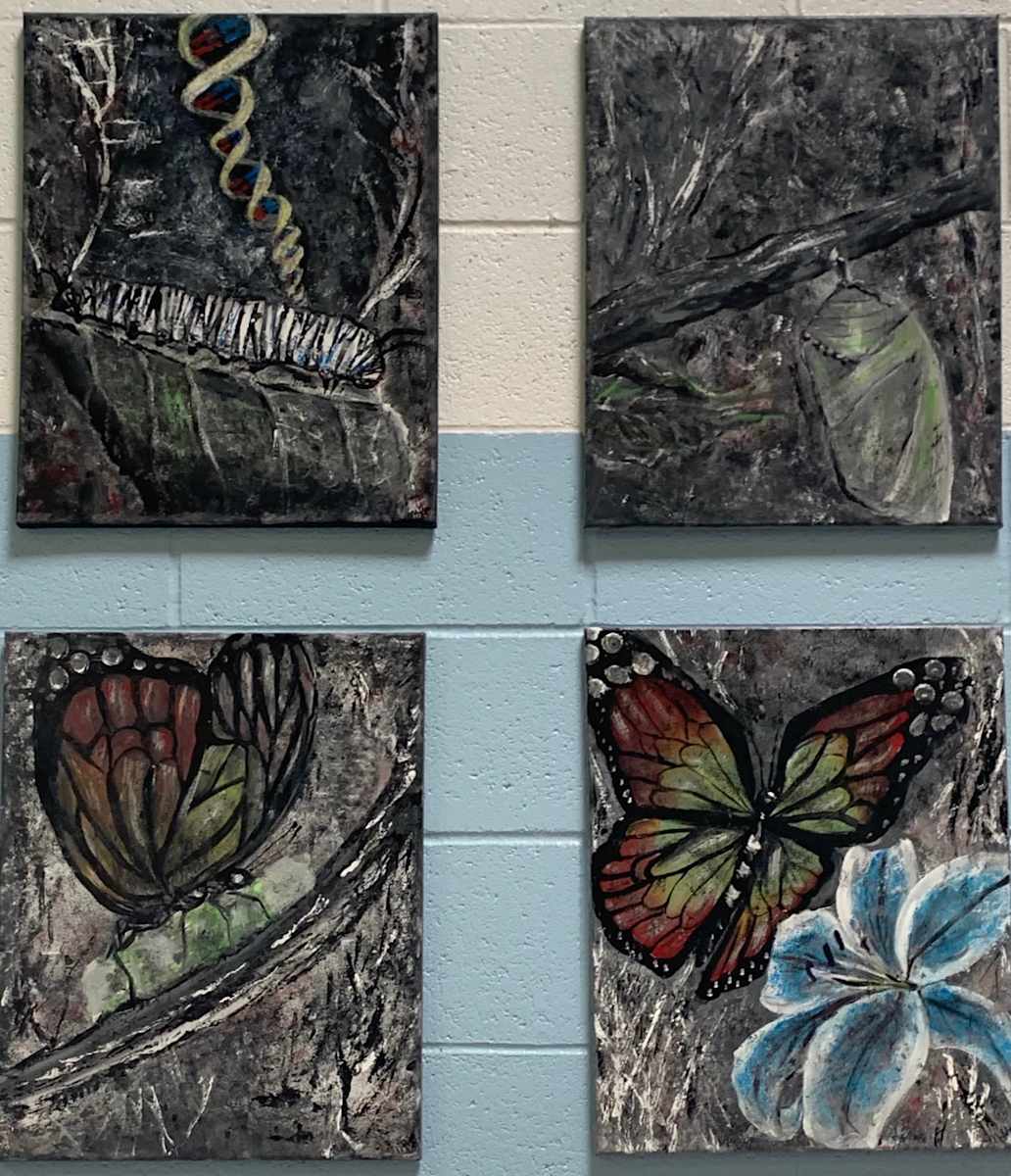 Transition by Melissa Anne Hernandez 