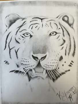 Big Cat by Kyle Youmans 