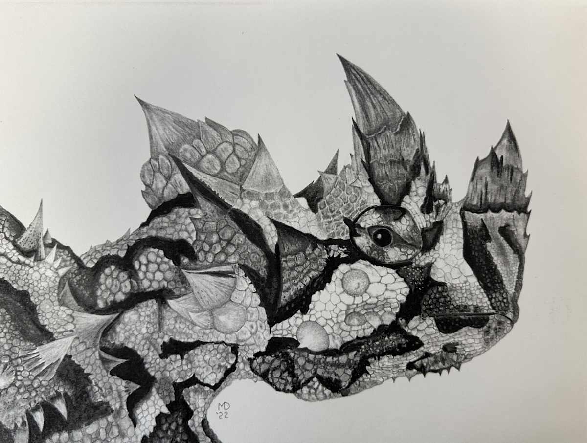 Prickly Disguise - Thorny Devil by Michael E. Dorcas 