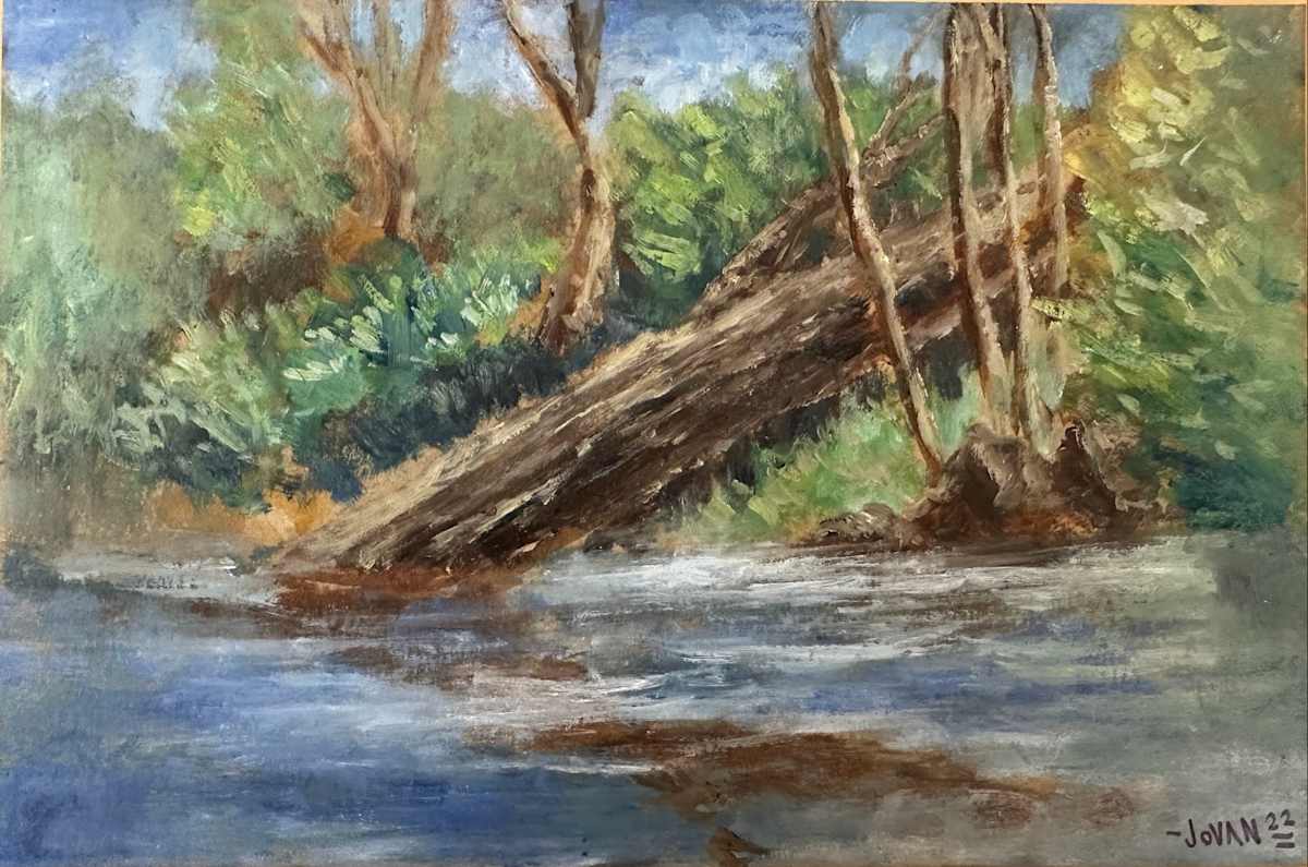 Fallen Tree by Jovan Villela 