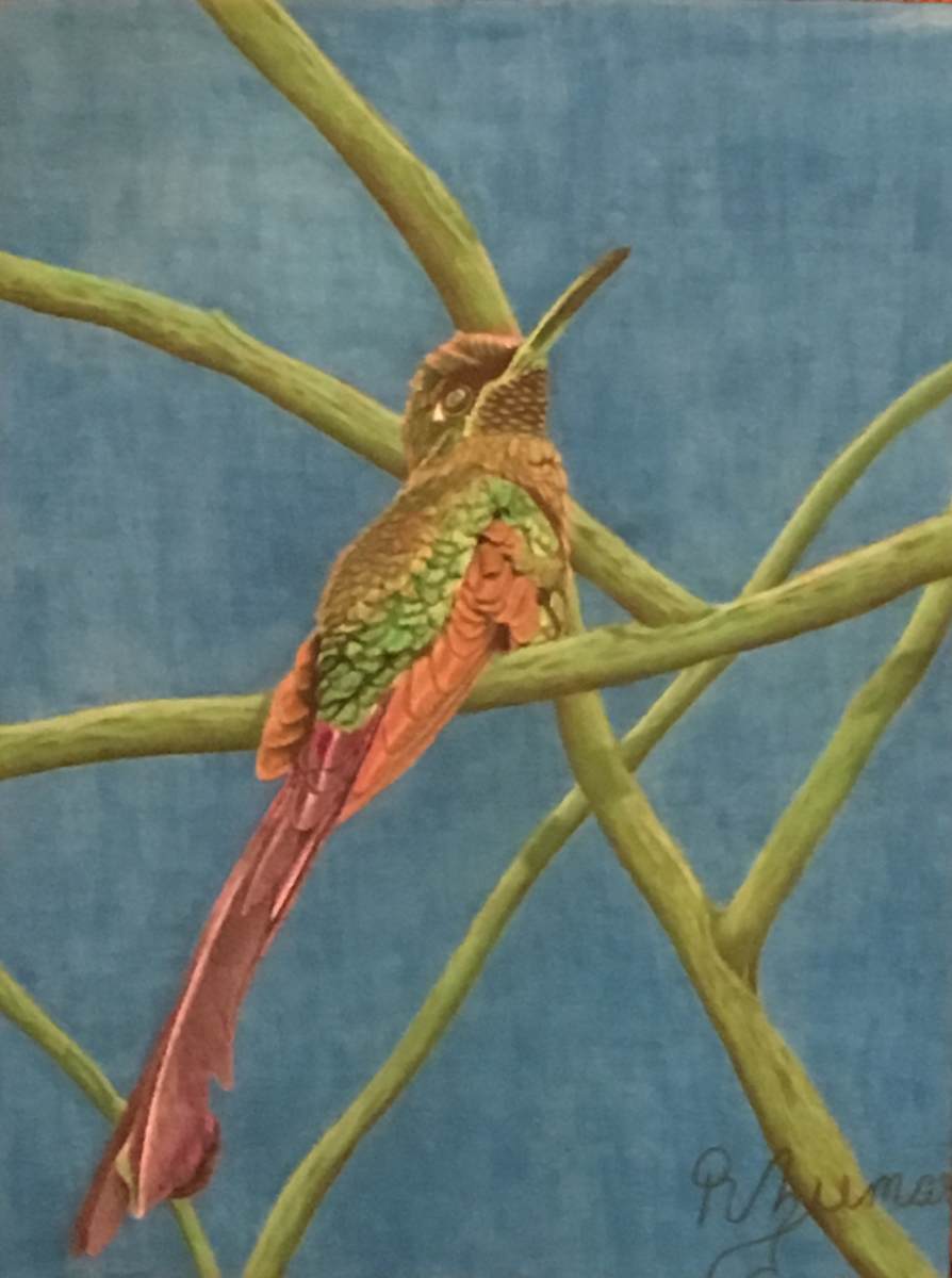 Free Bird 2 by R. Zumar 