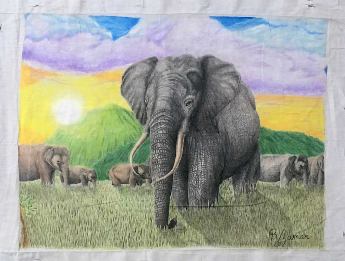 Elephants by R. Zumar 