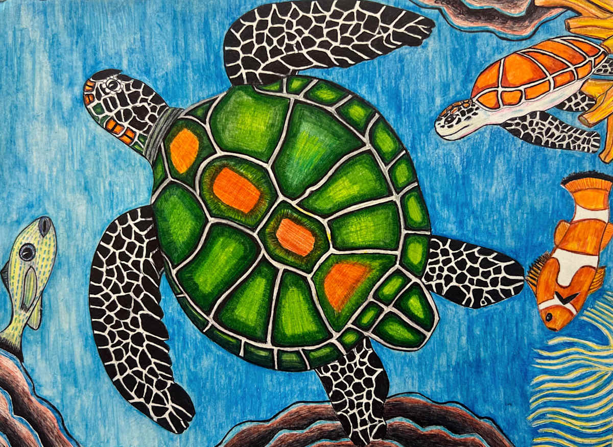 The Turtle by Scotty Scott 