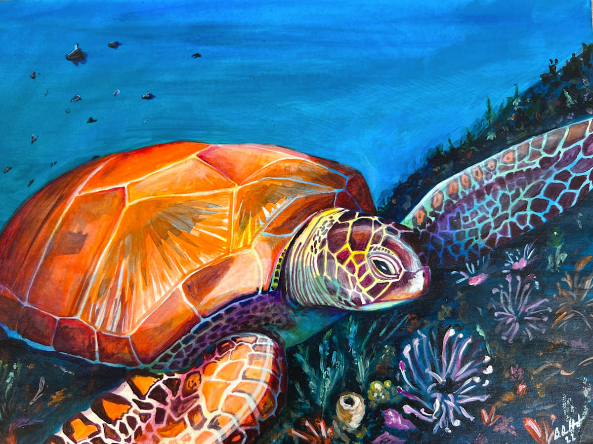 Turtle by Brian Hindson 