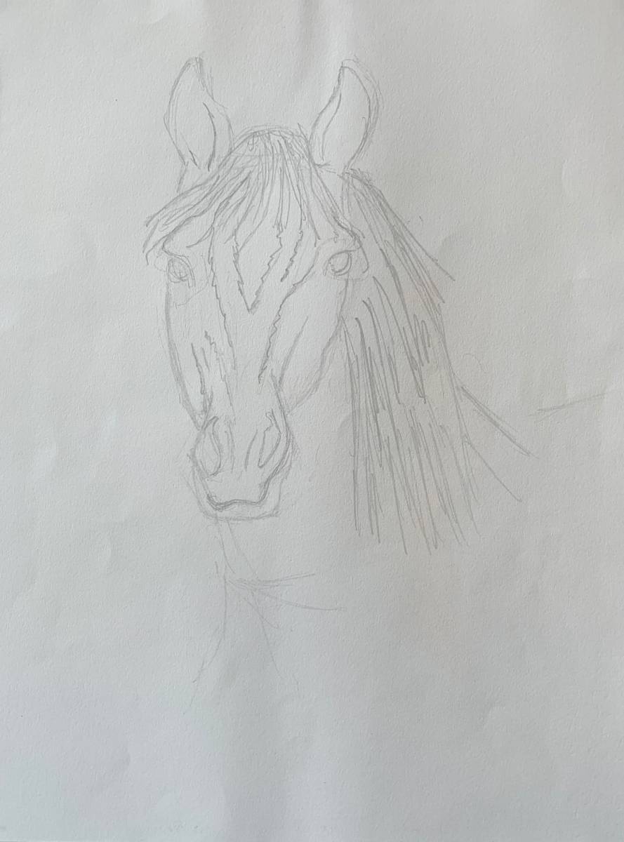 Untitled sketches by Sean J. White 