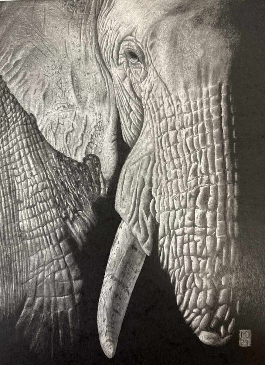 Memories of Africa - African Elephant by Michael E. Dorcas 
