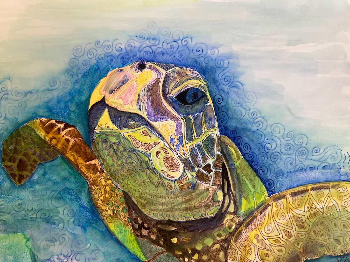 See Me by Brian Hindson 