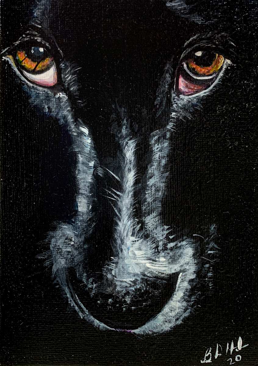 Puppy Eyes by Brian Hindson 