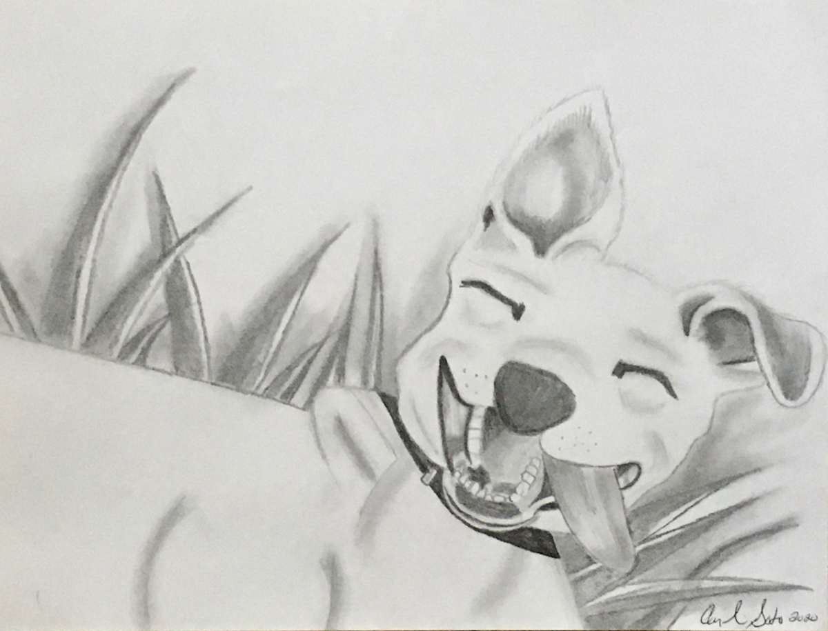Happiness by Angelica M. Soto 