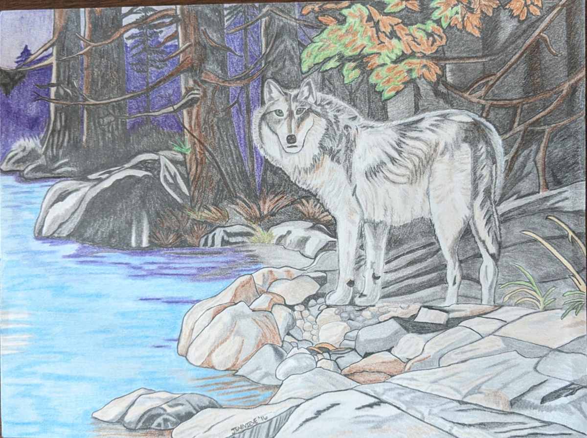 Up North by Jennifer Gilman 