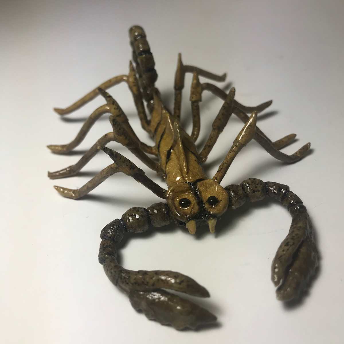 Scorpion by Charles Finney 