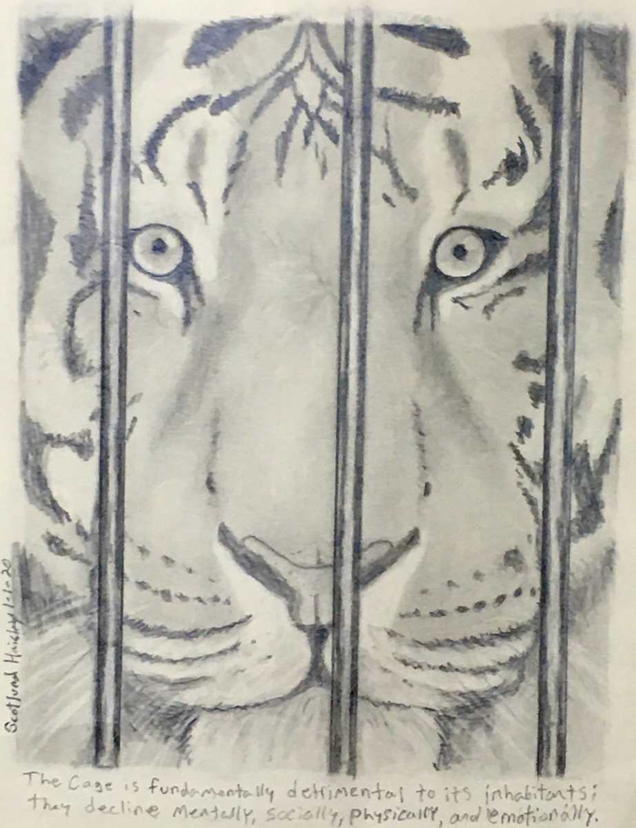 The Cage by Scotlund Haisley 