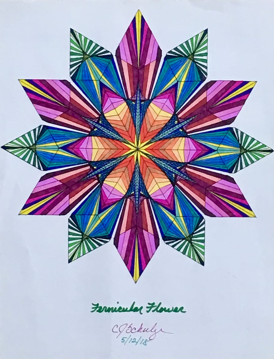 Fernicular Flower by Chris Schulze 