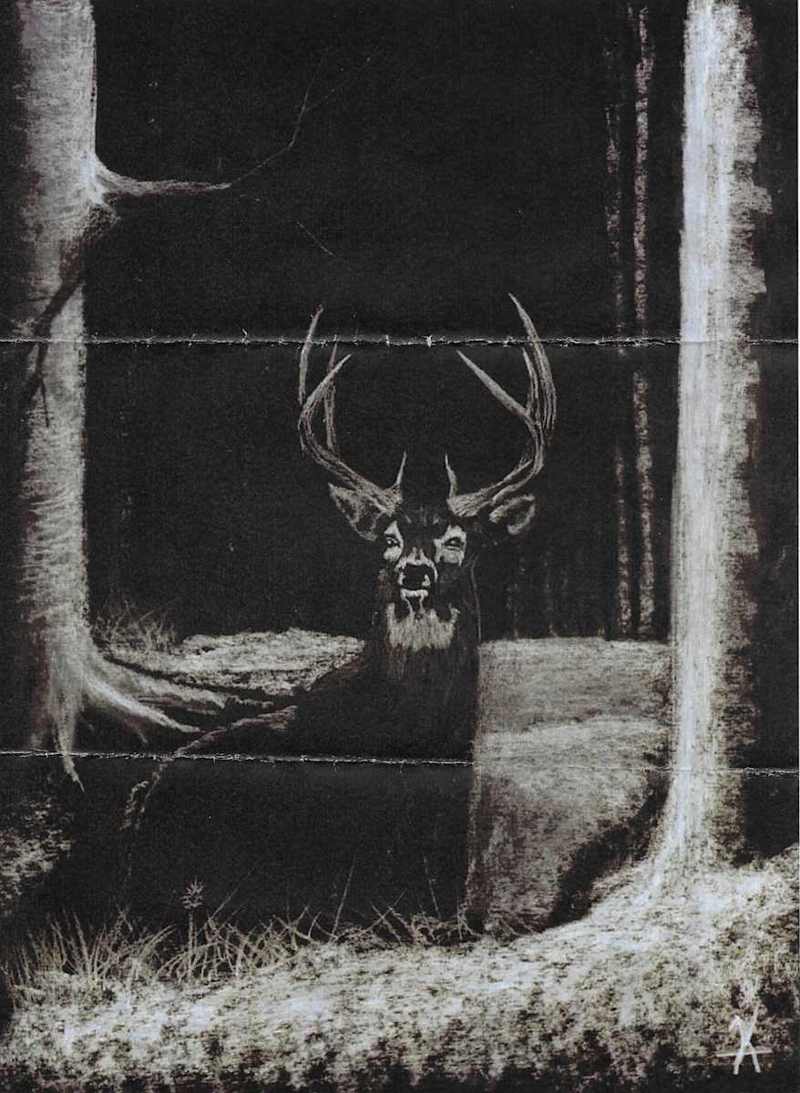 Not Titled by Kirston Angell 