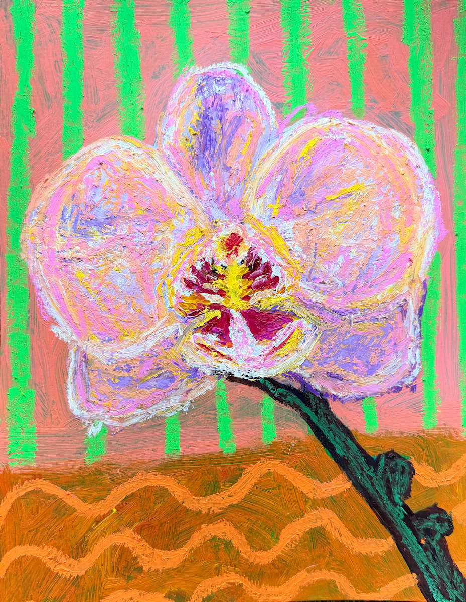 orchid by Anna Richards 