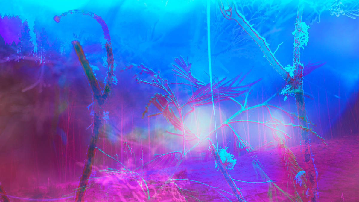 Gloam by Daniel A'Vard 